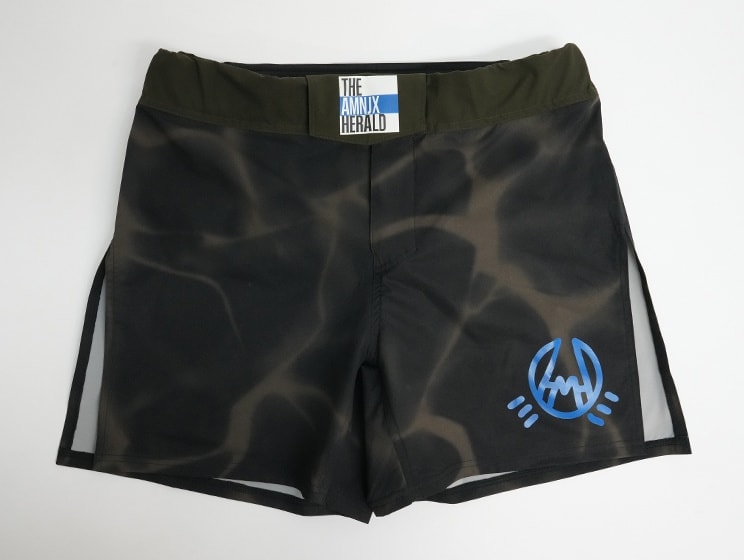 revenger shorts of AMNJX