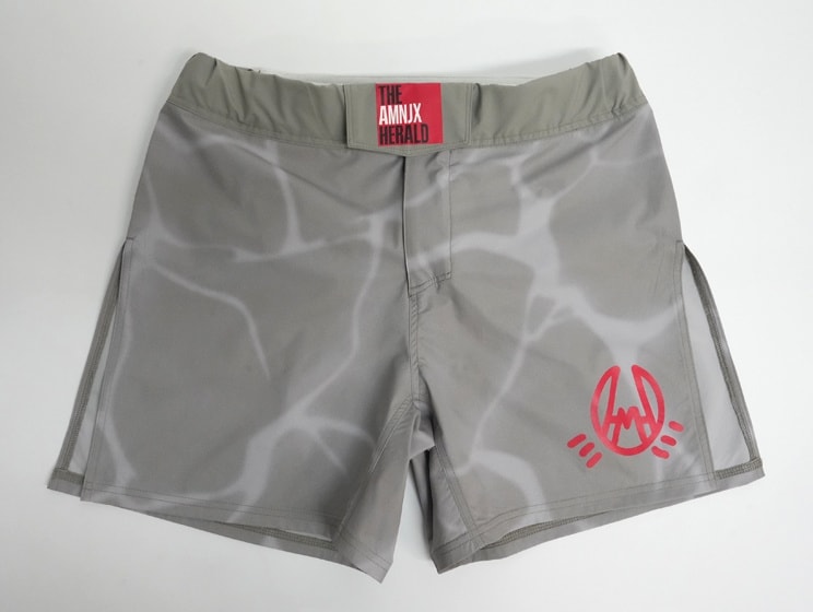 revenger shorts of AMNJX