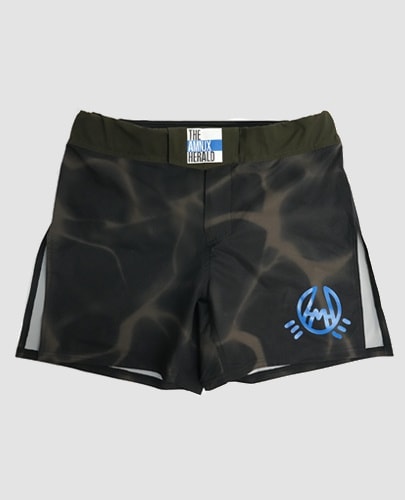 revenger shorts of AMNJX